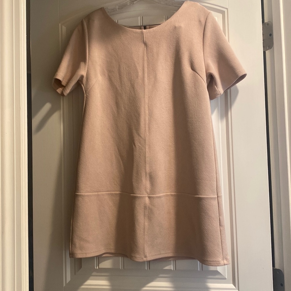 Bishop + Young Faux Suede Blush Pink Ivy Shift Dress
